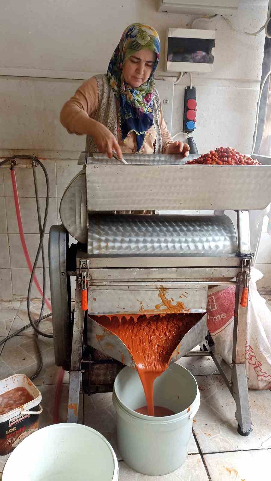 Günler süren işlem dakikalara indi: Kuşburnu marmeladı zamanı