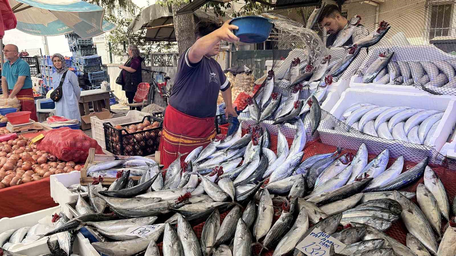 Balıkçı Baran Eğer: "Kıymanın kilosu bin, palamudun tanesi 130 TL"