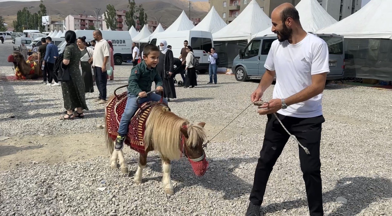 Yüksekova’ya getirilen develer ve midilli atları ilgi gördü