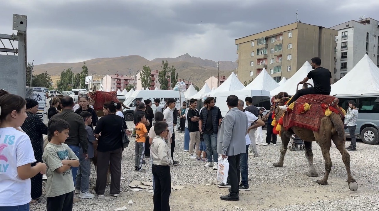 Yüksekova’ya getirilen develer ve midilli atları ilgi gördü