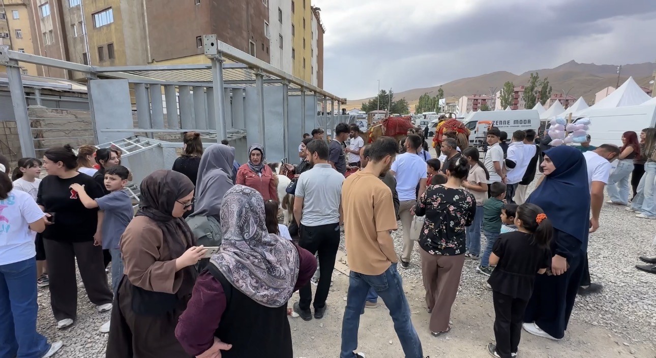 Yüksekova’ya getirilen develer ve midilli atları ilgi gördü