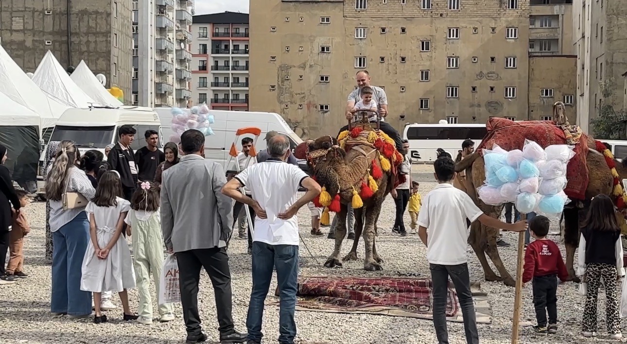 Yüksekova’ya getirilen develer ve midilli atları ilgi gördü