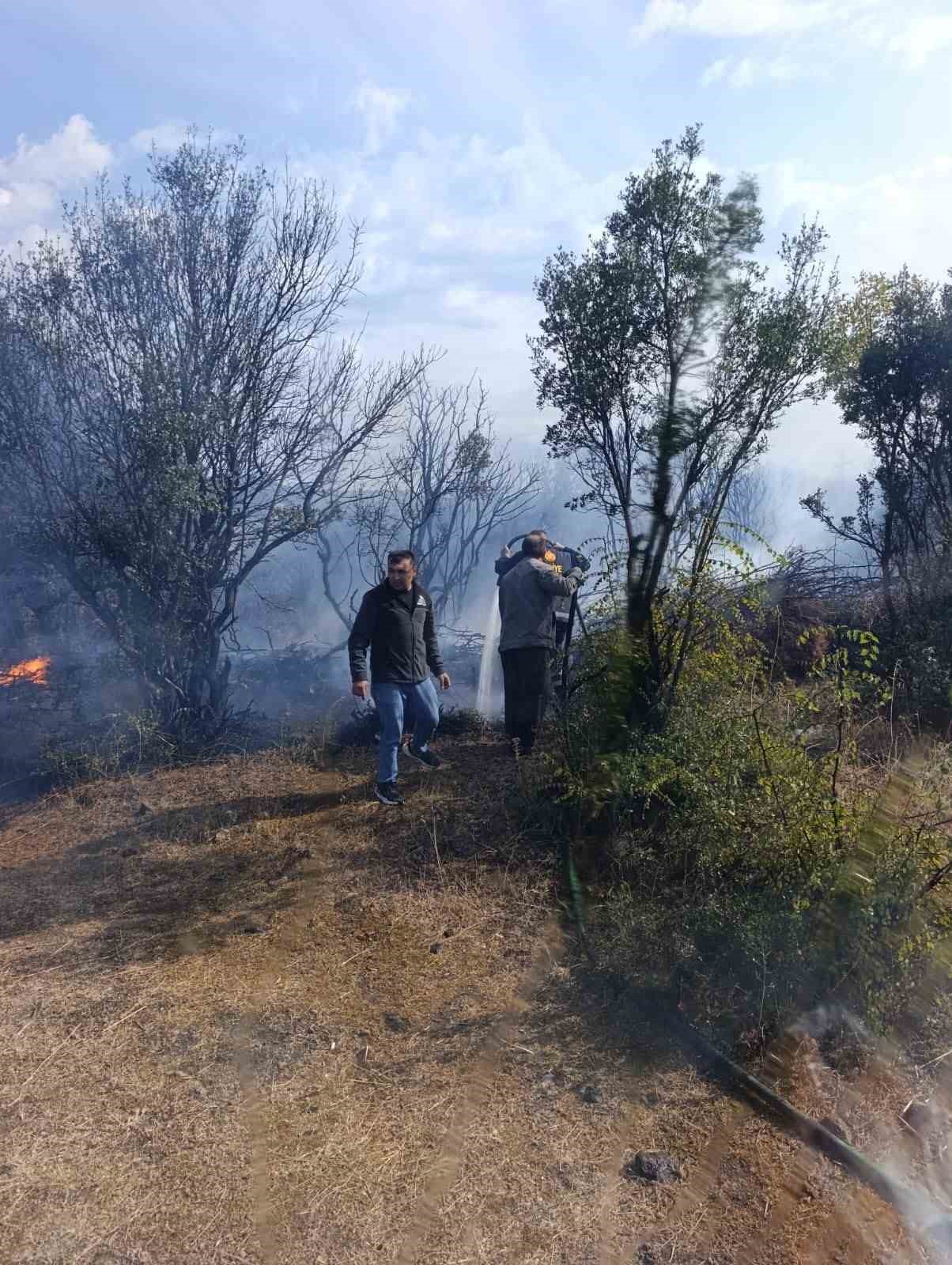 Ayvacık’ta makilik alanda çıkan yangın kontrol altına alındı