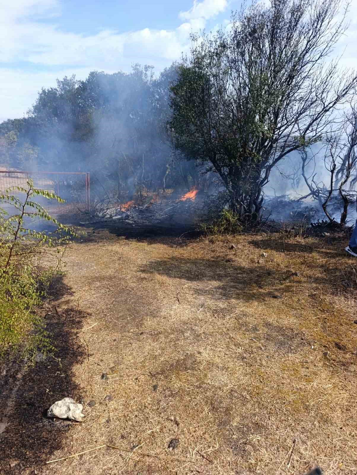 Ayvacık’ta makilik alanda çıkan yangın kontrol altına alındı