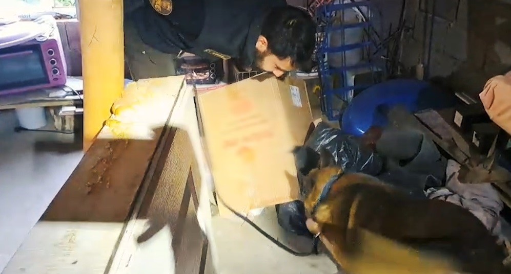Bitlis’te 9 kilo 45 gram esrar ele geçirildi, 1 şüpheli tutuklandı