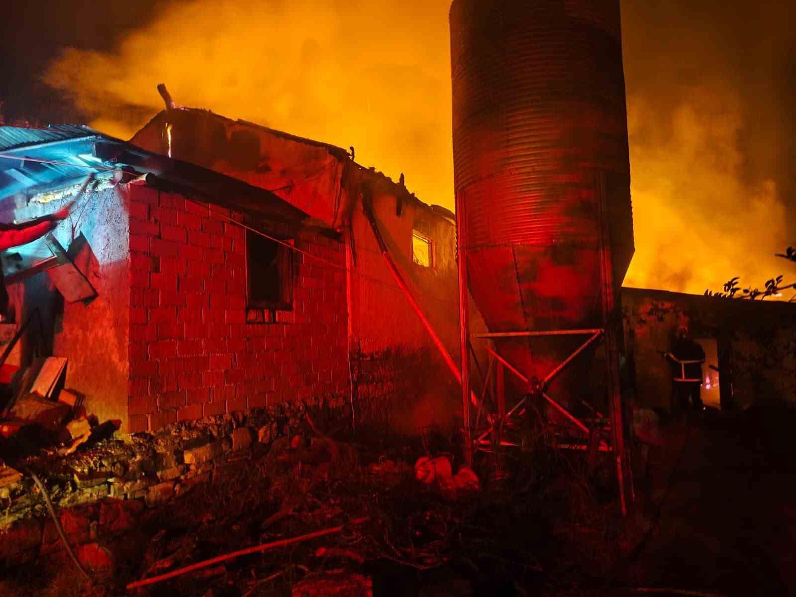 Bolu’da saman dolu kümes alev alev yandı