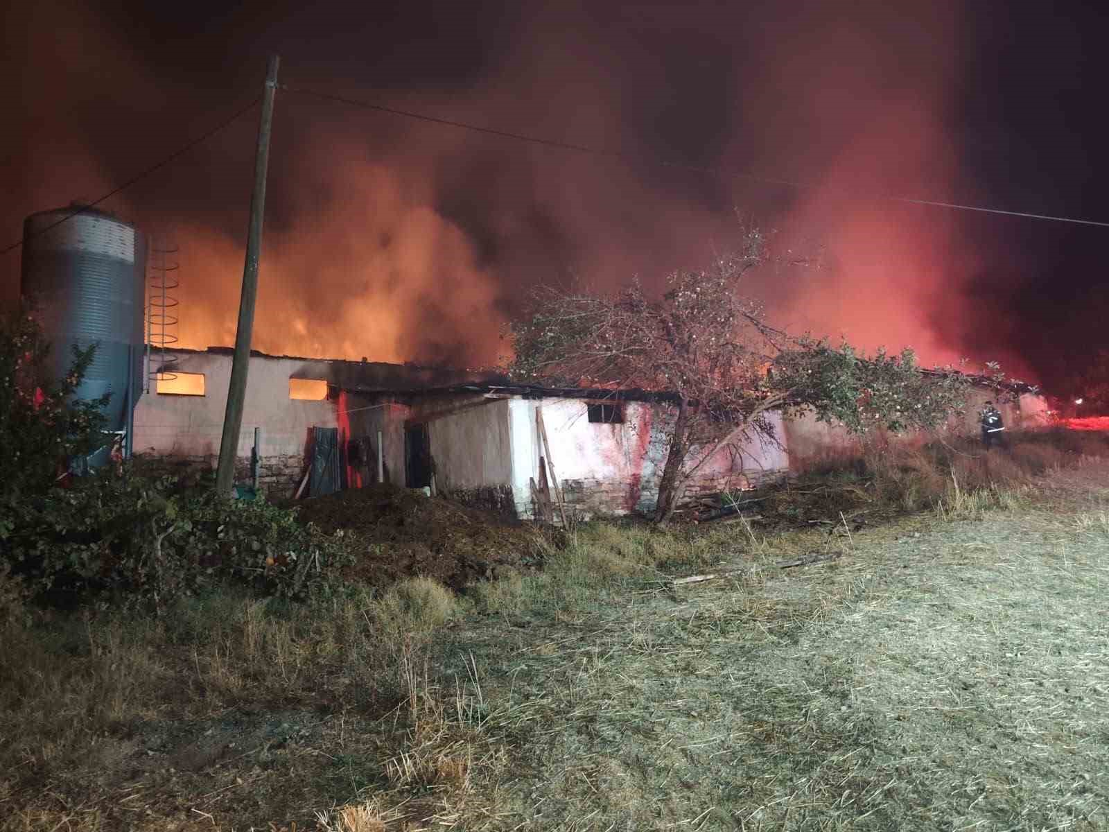 Bolu’da saman dolu kümes alev alev yandı