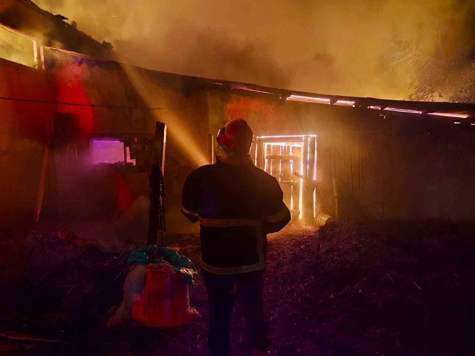 Bolu’da saman dolu kümes alev alev yandı