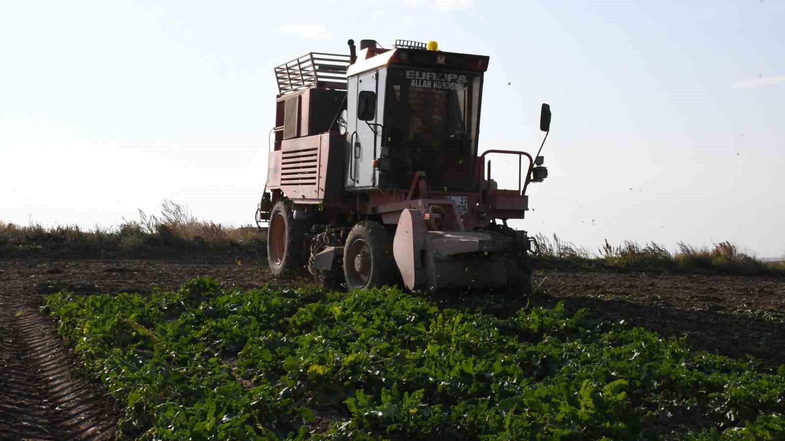Yozgat’ta 6 aylık emeğin hasadı başladı