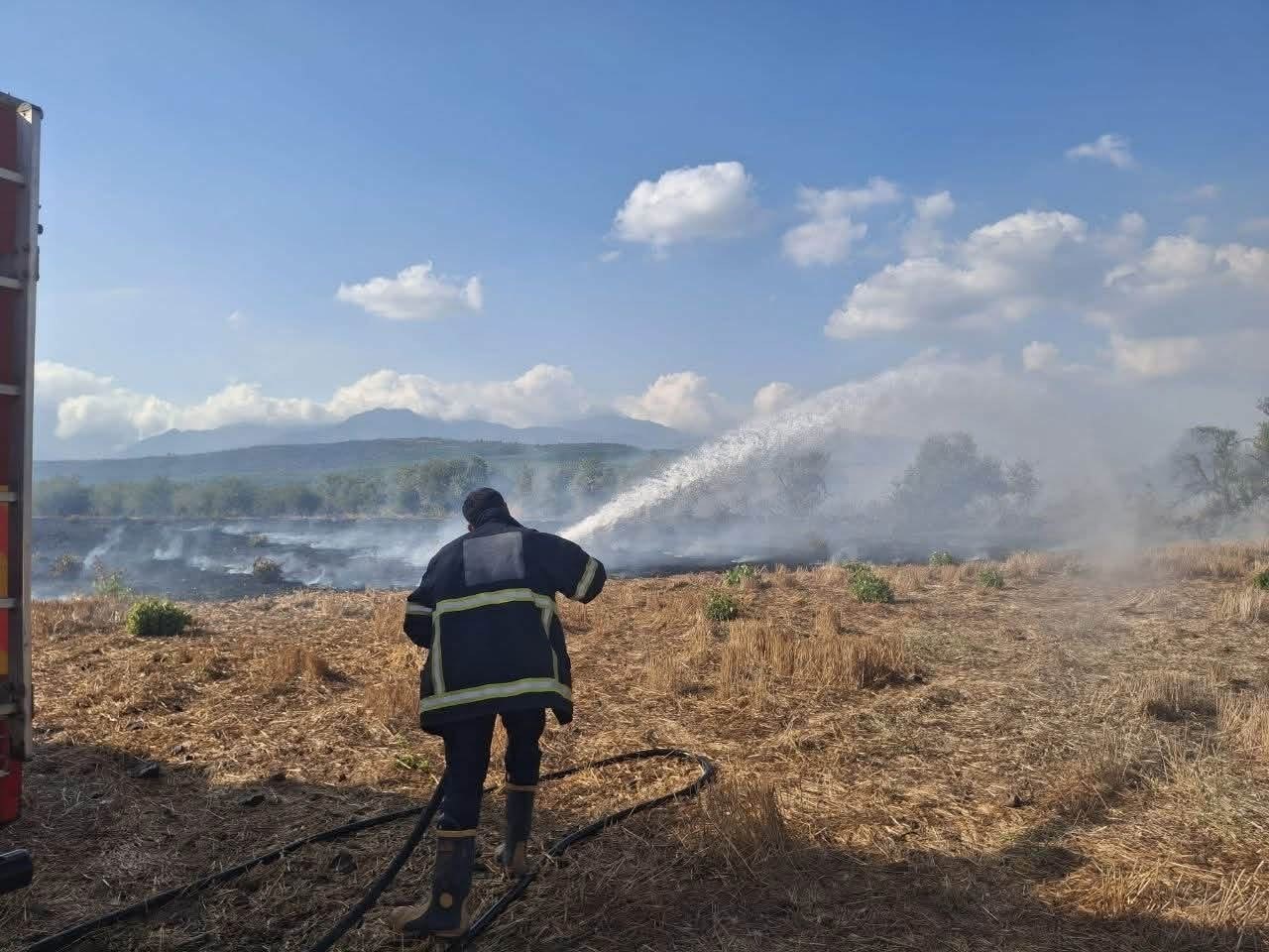 Hassa’da zeytinlik alan ve anız yangını geniş alana yayılmadan söndürüldü