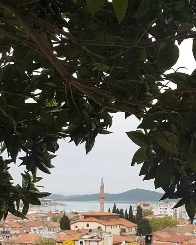 Ayvalık, Balıkesir’in en kalabalık 5’inci ilçesi oldu