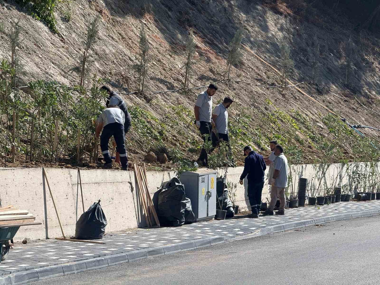 Karabük Belediyesinden yeşil dönüşüm