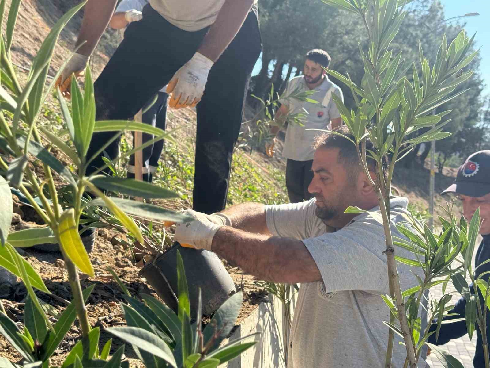 Karabük Belediyesinden yeşil dönüşüm