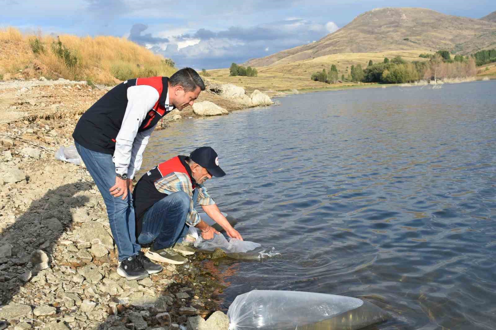 Bayburt’taki göletlere 150 bin sazan yavrusu bırakıldı