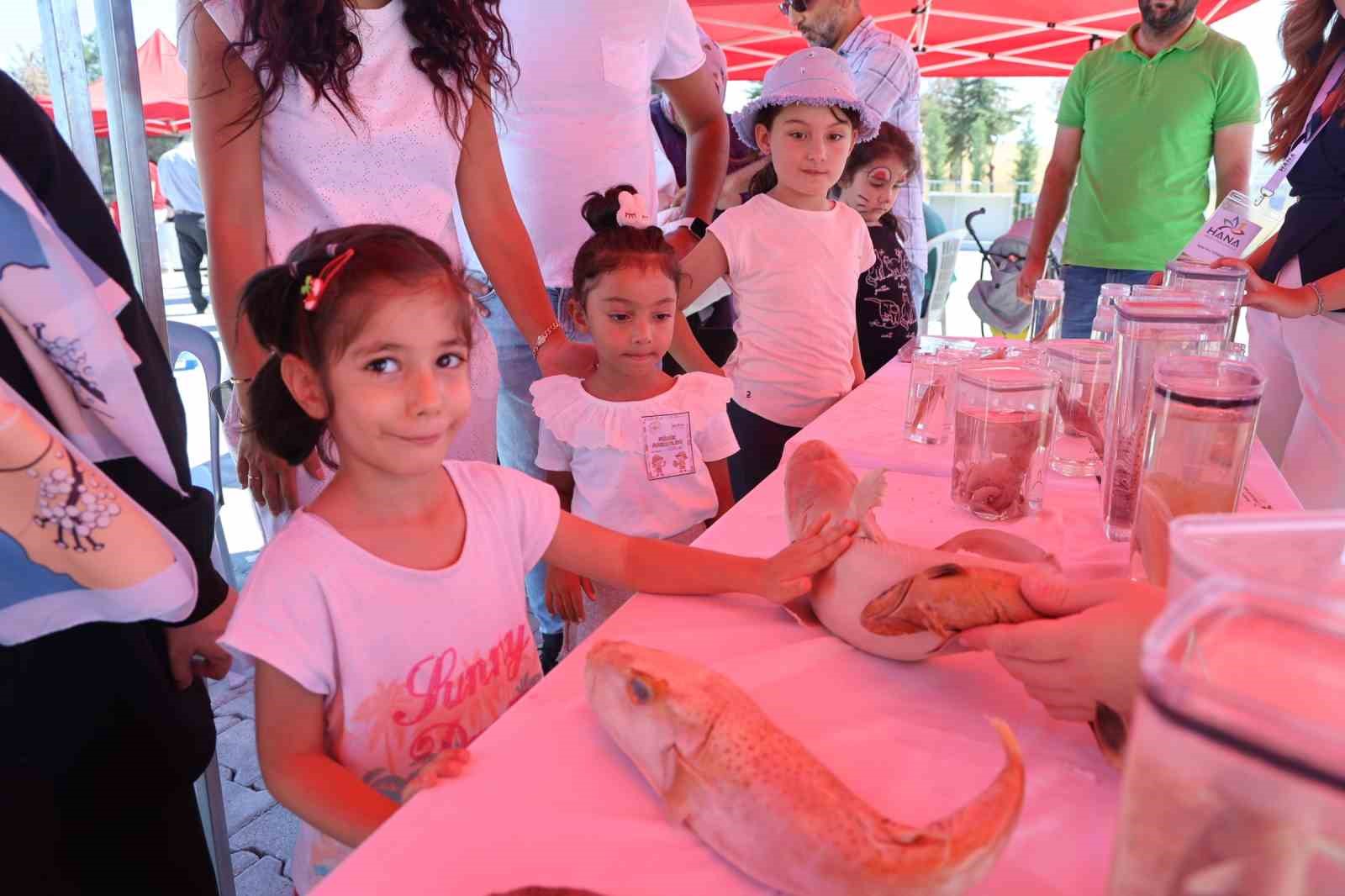 Korkuyla yaklaşıyorlar, ayrılmak istemiyorlar