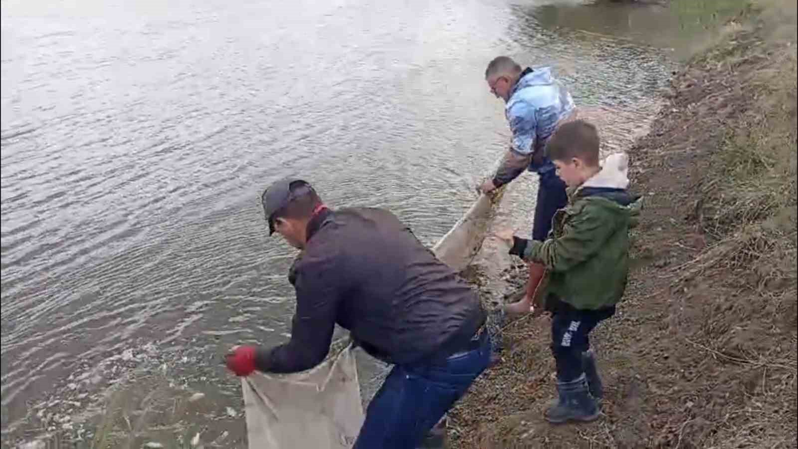 Sulama kanallarında mahsur kalan balıklar kurtarıldı