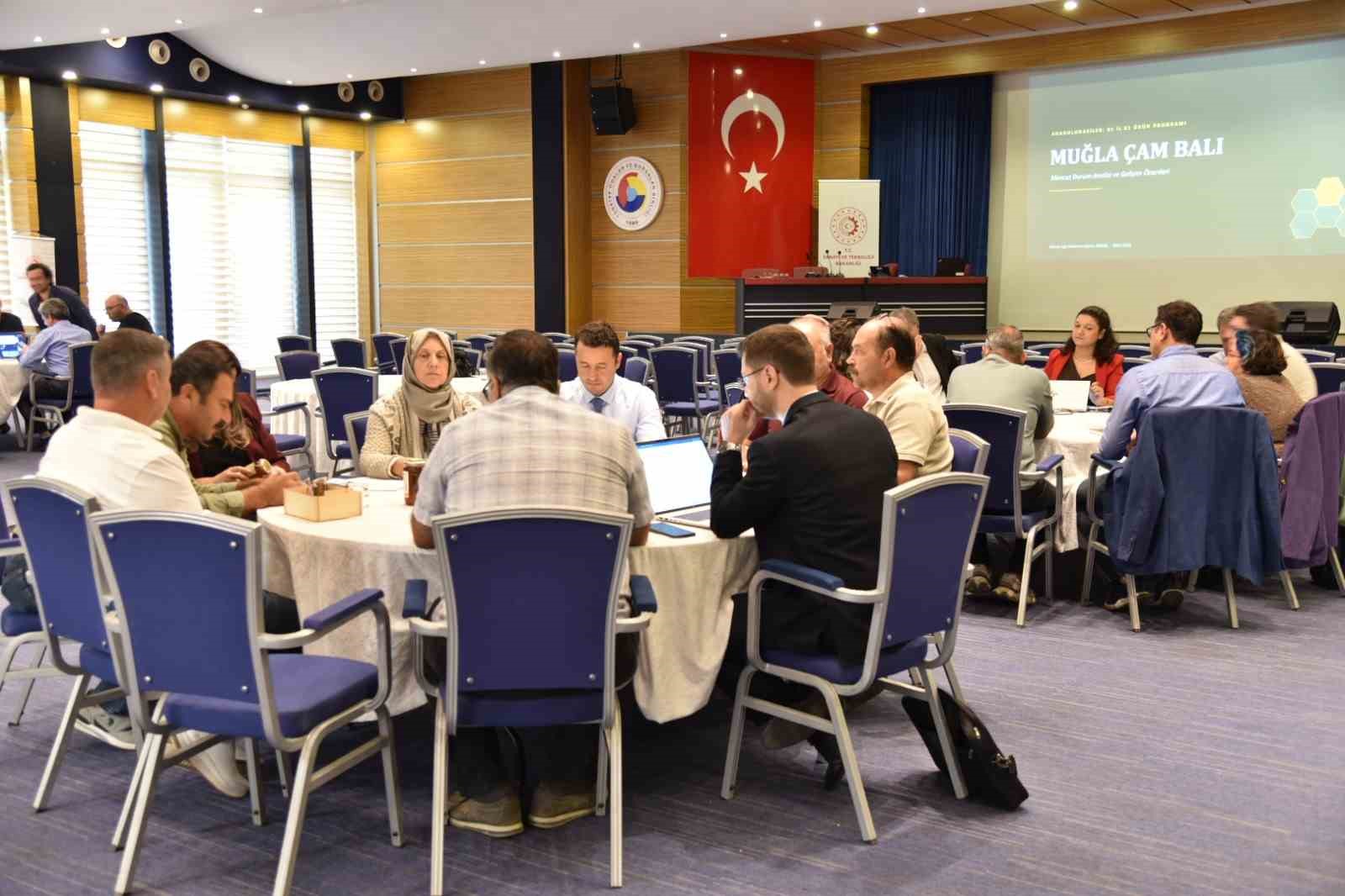 Muğla’da Çam Balı Çalıştayı düzenlendi