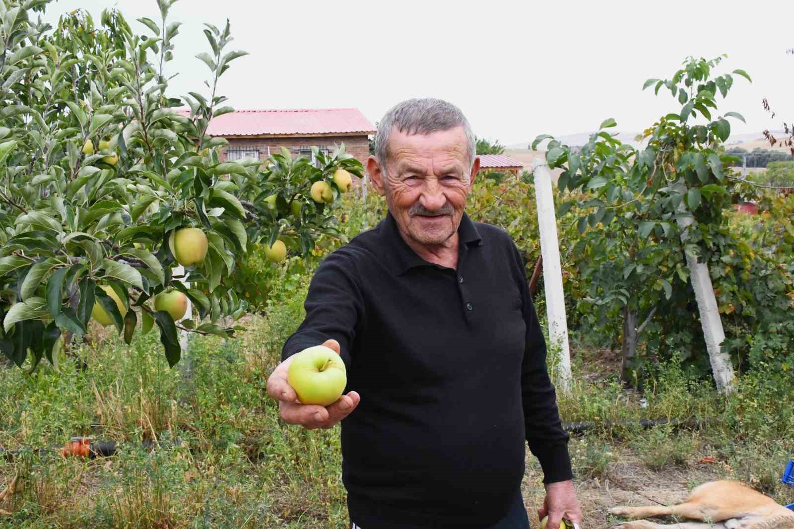 Bozkırın ortasında 15 yıllık emek: Emekli öğretmen yeşil vaha oluşturdu
