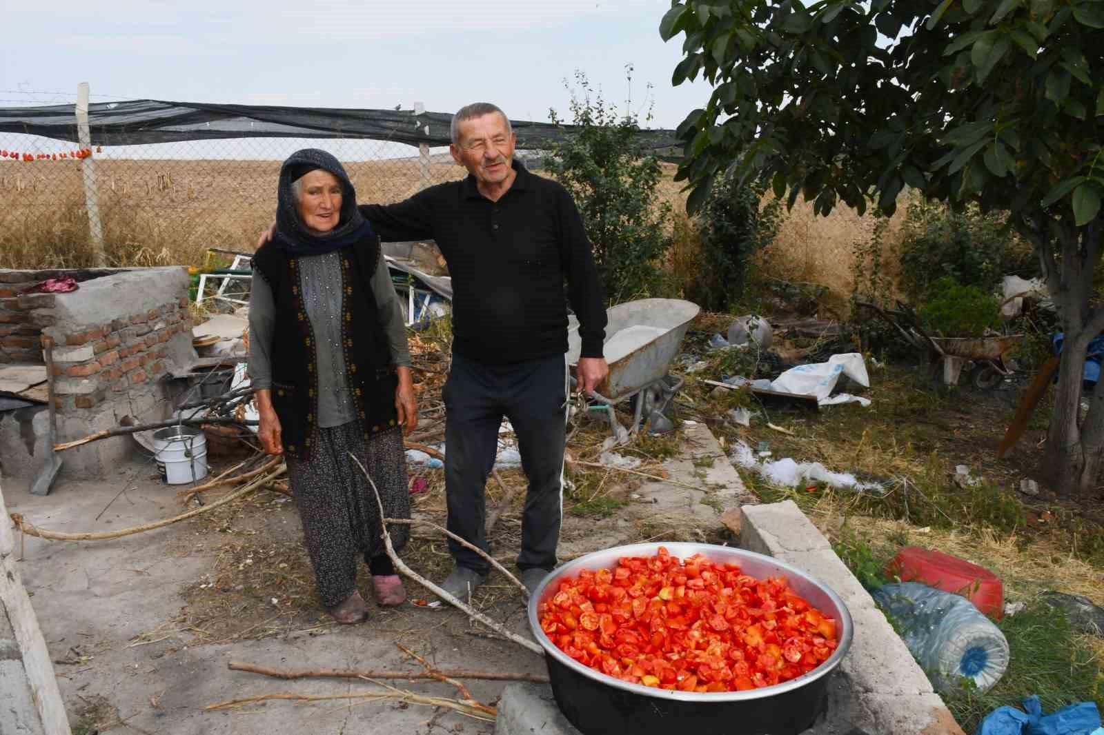 Bozkırın ortasında 15 yıllık emek: Emekli öğretmen yeşil vaha oluşturdu
