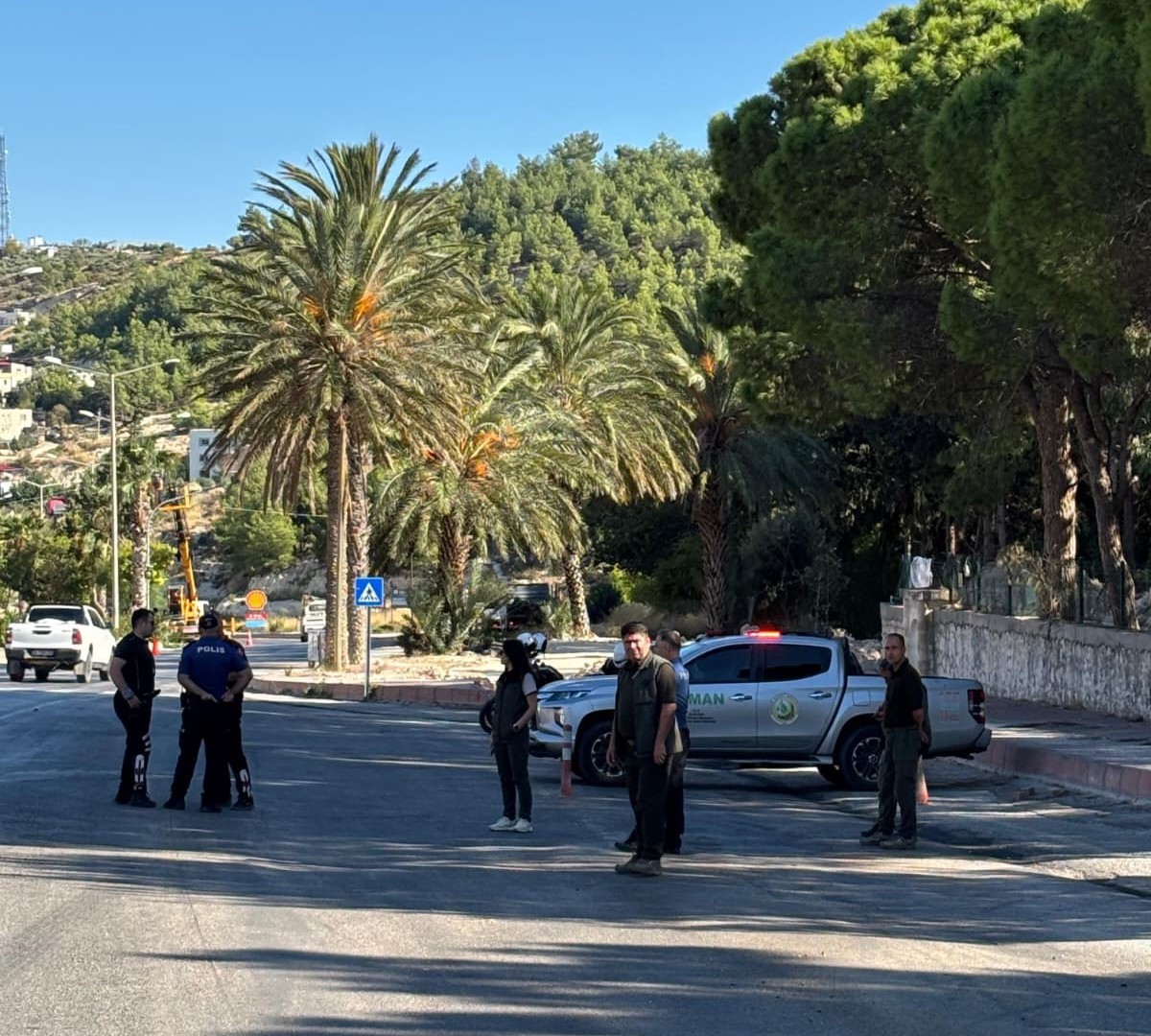 Mersin’de orman suçlarına karşı yol kontrolü
