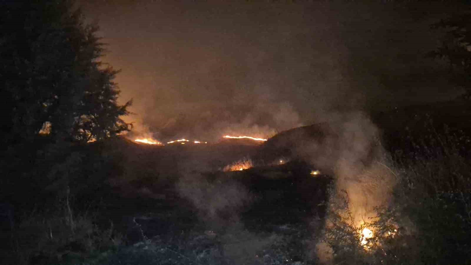 Adıyaman’da korkutan anız yangını