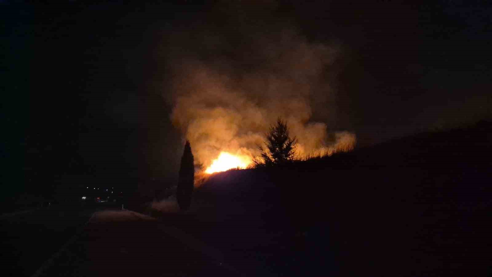 Adıyaman’da korkutan anız yangını