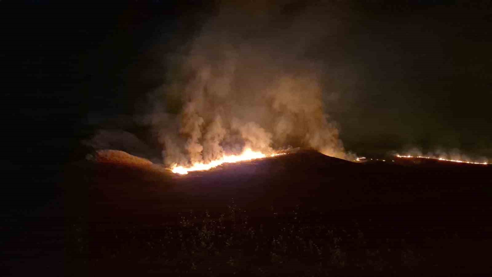 Adıyaman’da korkutan anız yangını