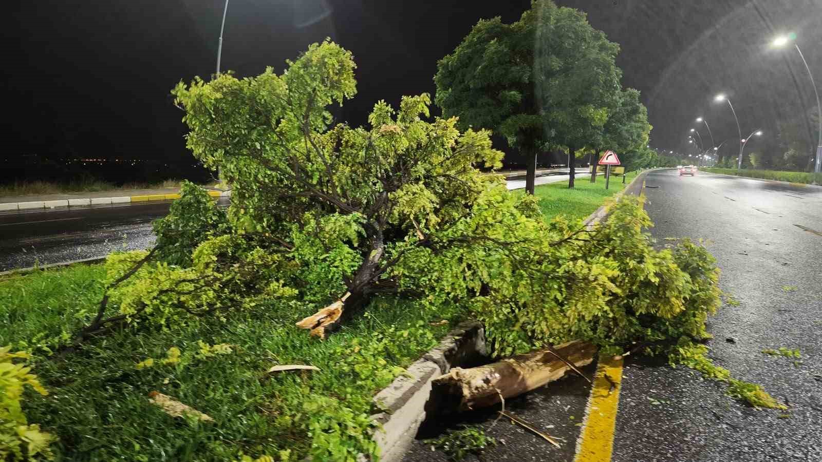 Niğde’de refüje çıkarak, ağaca çarpan SUV araç kullanılamaz hale geldi
