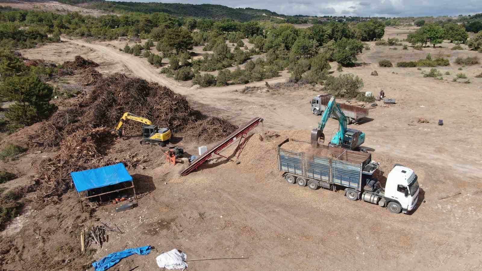 2 bin 736 hektar zarar görmüştü: Yanan orman yeniden yeşerecek