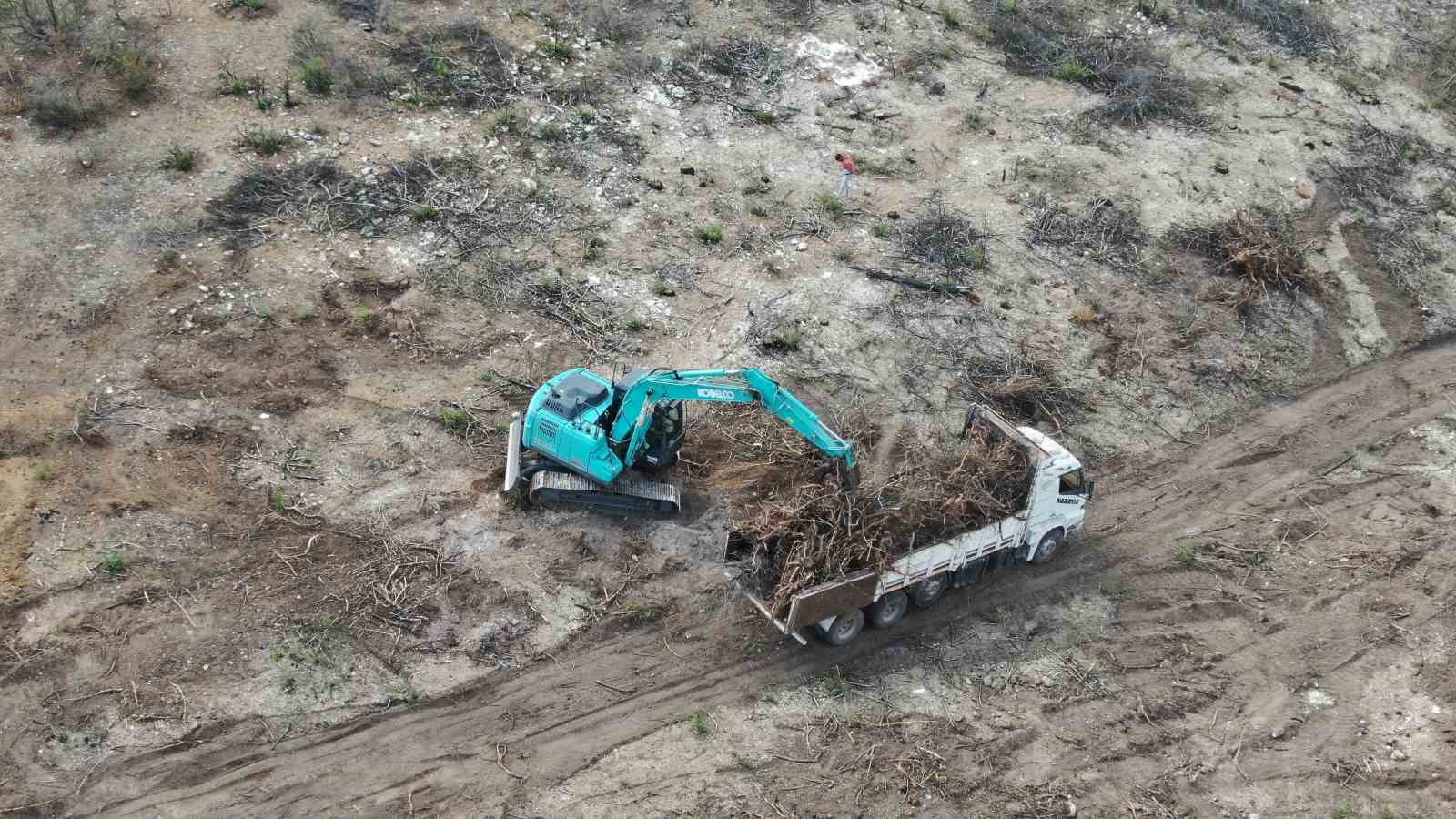 2 bin 736 hektar zarar görmüştü: Yanan orman yeniden yeşerecek