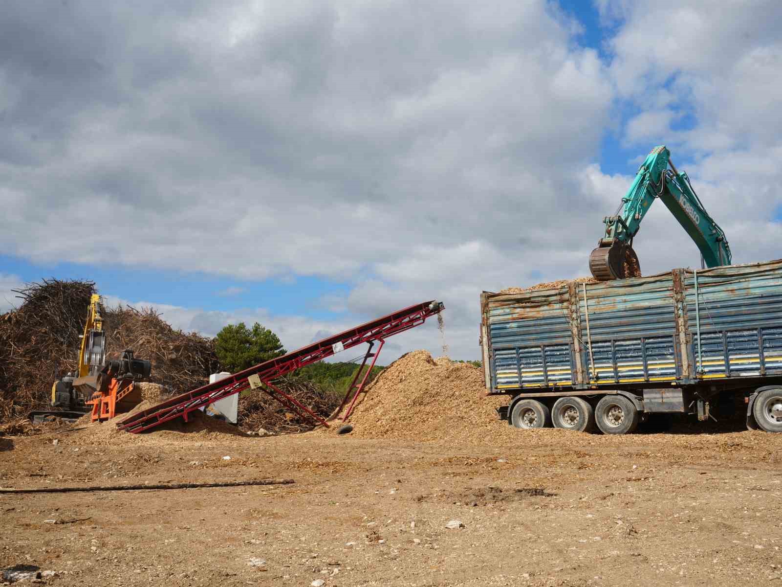 2 bin 736 hektar zarar görmüştü: Yanan orman yeniden yeşerecek