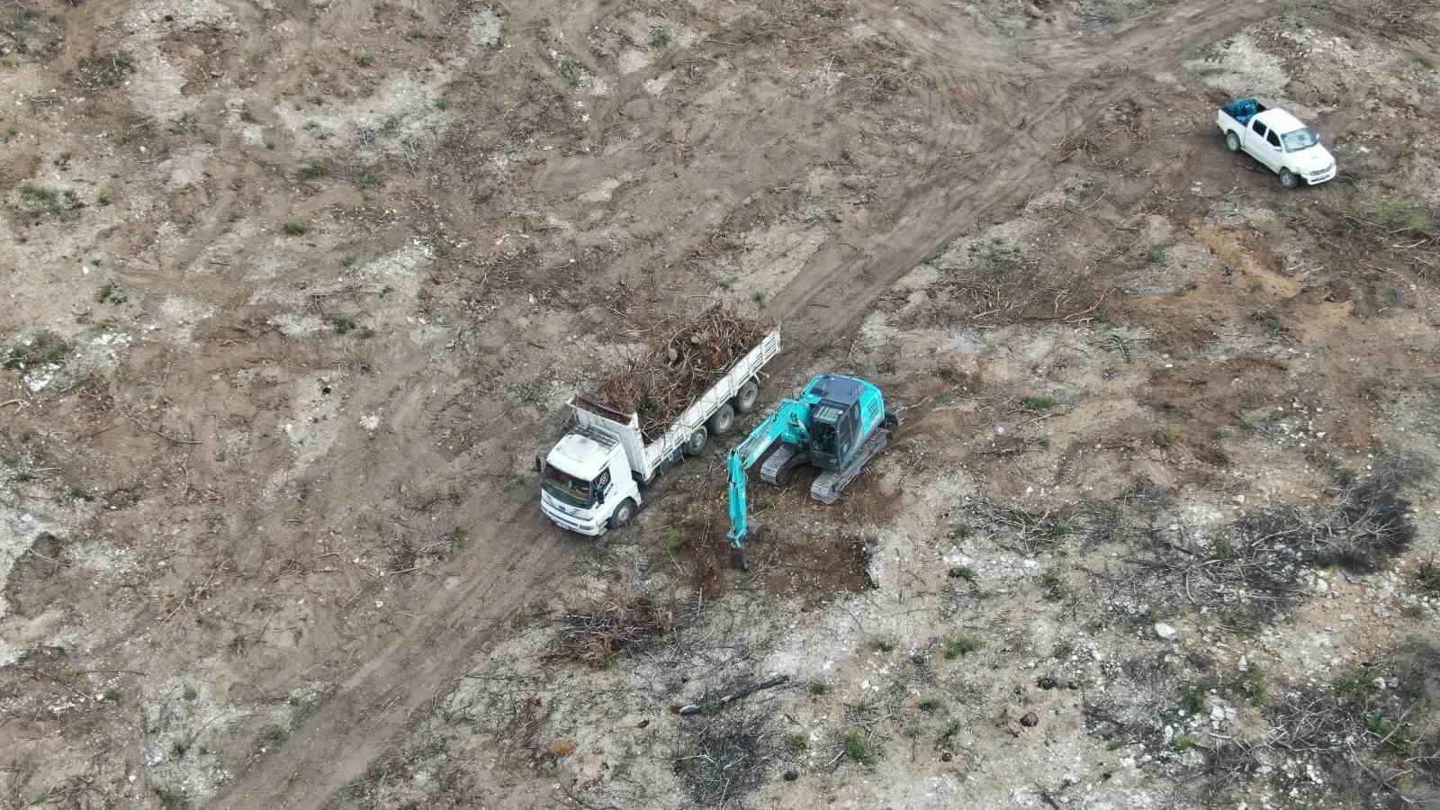 2 bin 736 hektar zarar görmüştü: Yanan orman yeniden yeşerecek