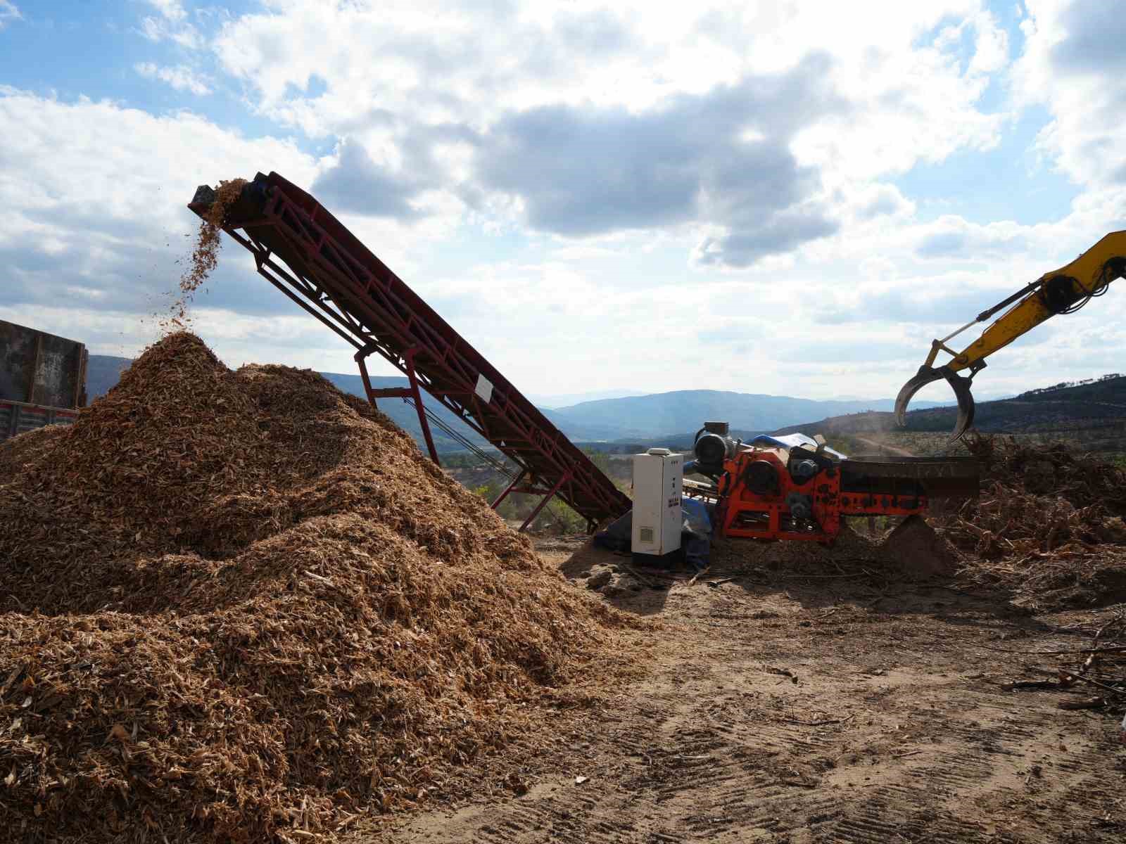 2 bin 736 hektar zarar görmüştü: Yanan orman yeniden yeşerecek