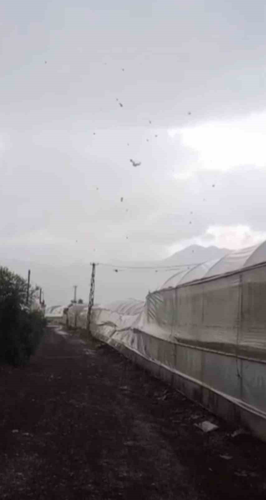 Kumluca’da sağanak etkili oldu, denizde çıkıp karaya ulaşan hortum seralara zarar verdi