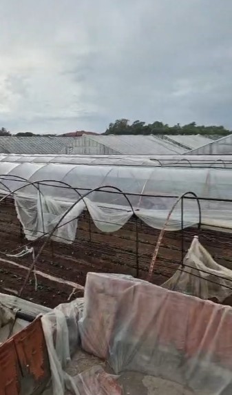 Kumluca’da sağanak etkili oldu, denizde çıkıp karaya ulaşan hortum seralara zarar verdi