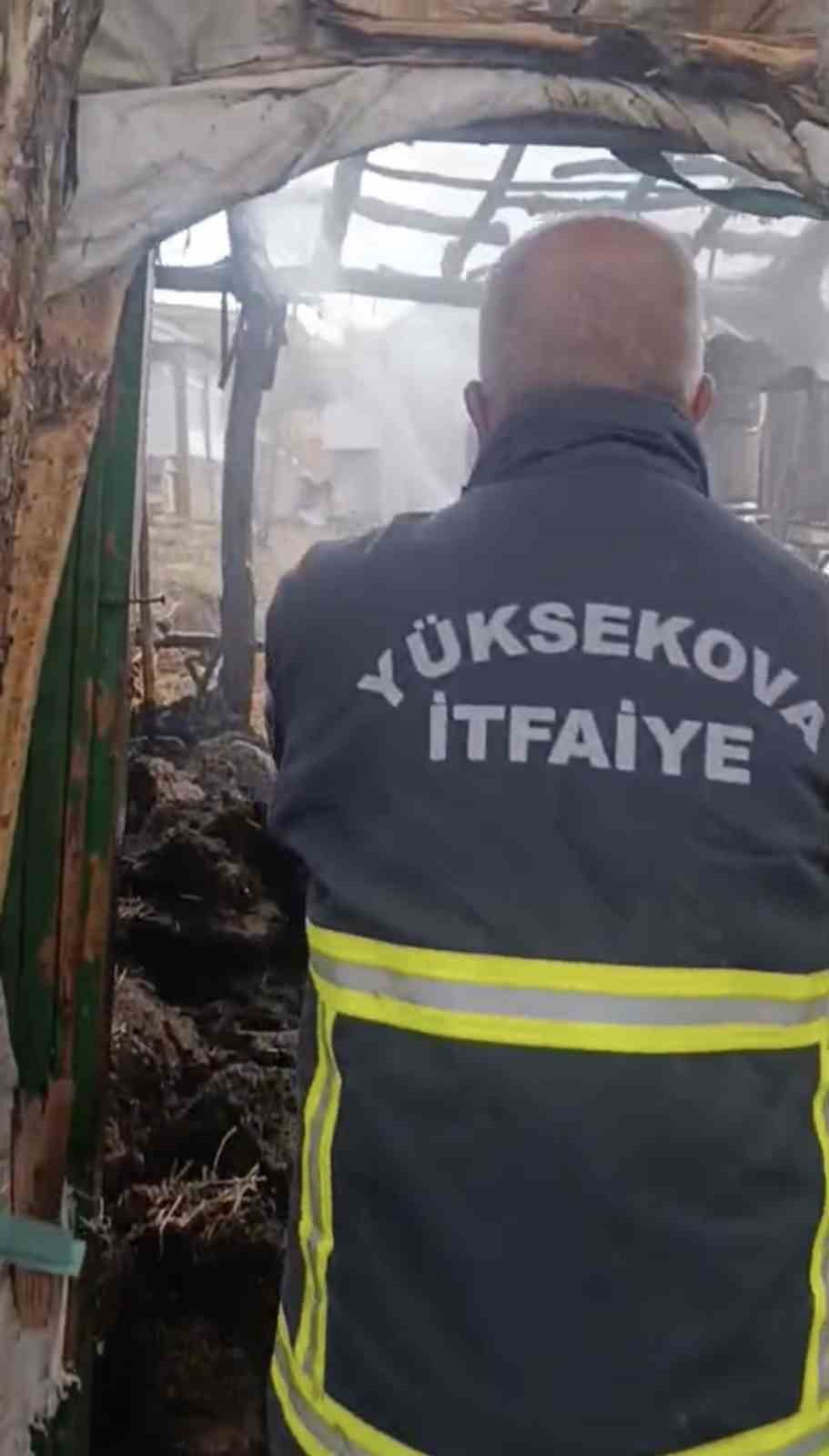 Yüksekova’da odunluk yangını: Kışlık malzemeler kül oldu