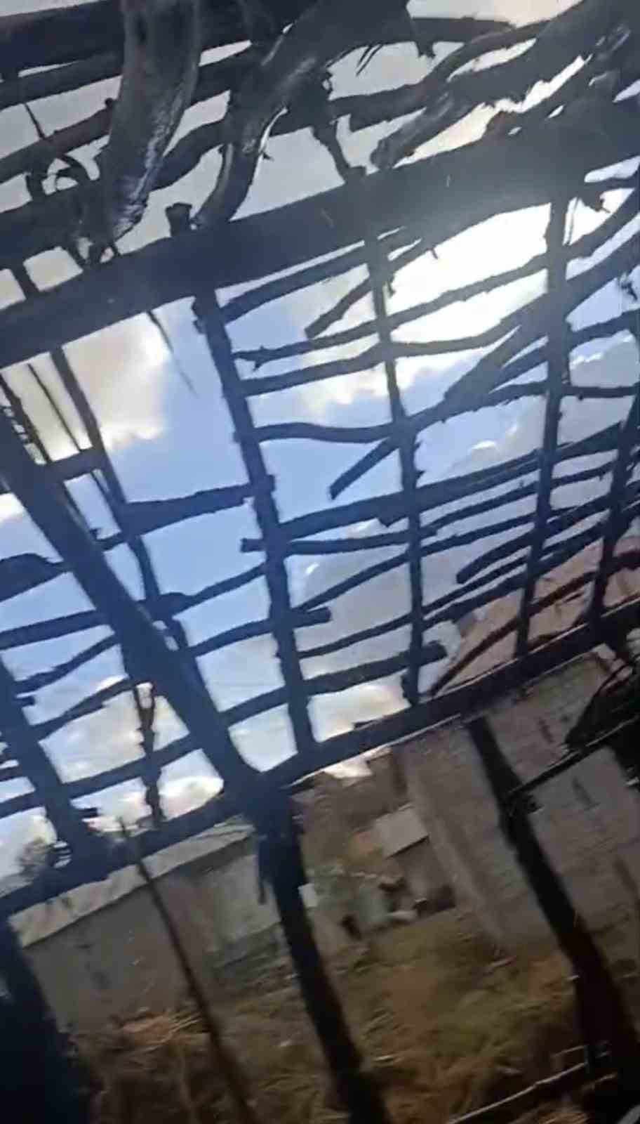 Yüksekova’da odunluk yangını: Kışlık malzemeler kül oldu