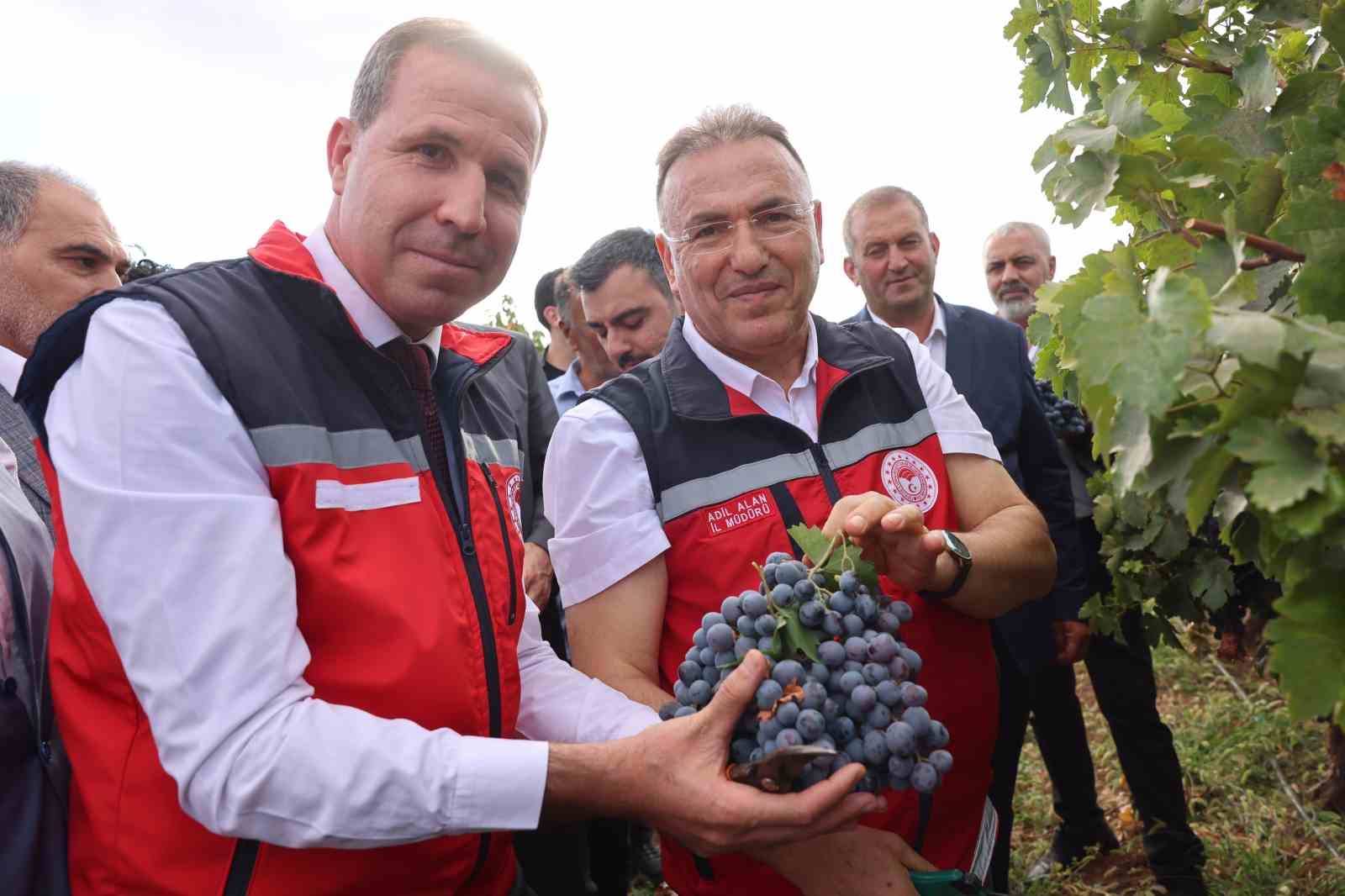 Dicle’de geleneksel bağ bozumu etkinliği