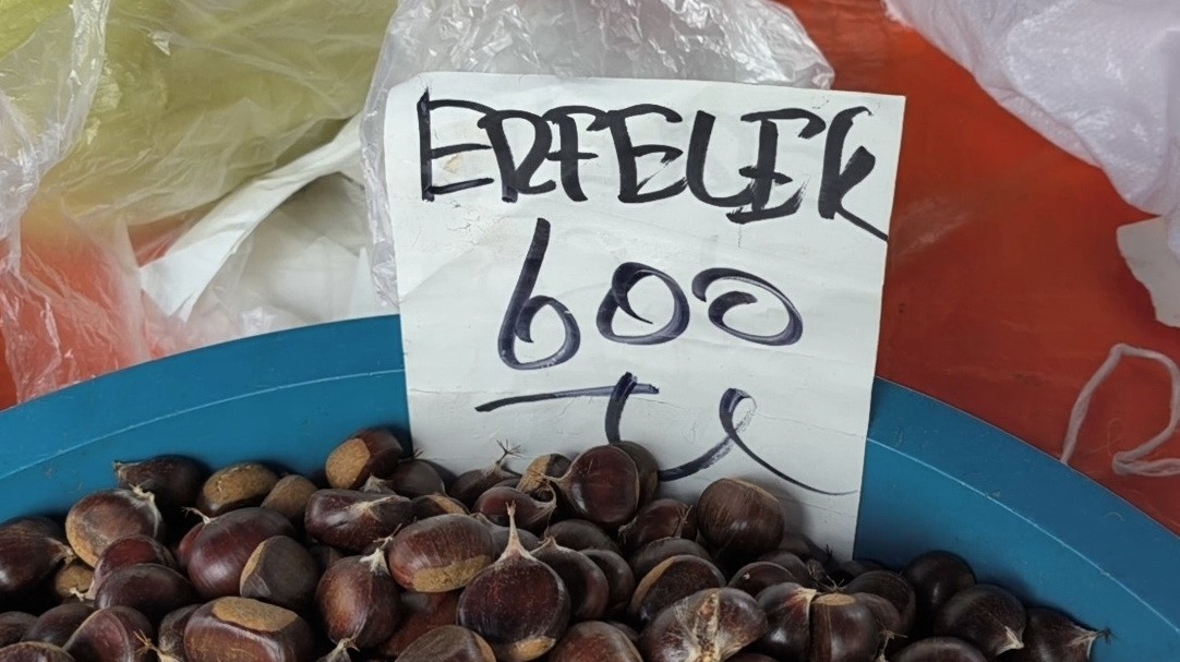 Dünyaca ünlü Erfelek kuzu kestanesi tezgahlarda