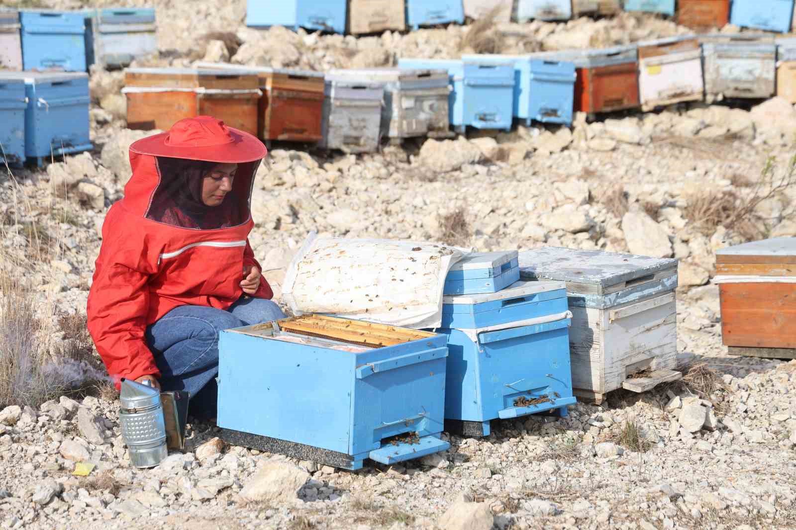 22 yaşında diplomasını aldı, 250 kovanla başladığı arıcılıkta bine ulaştı