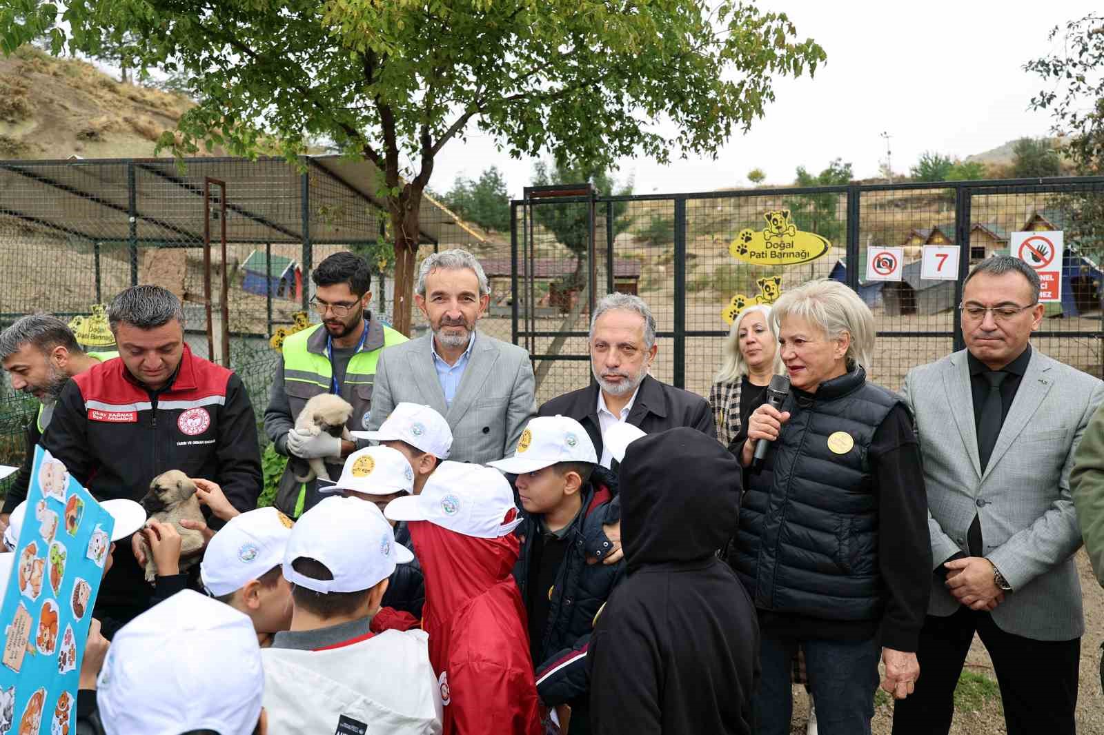 Hayvanları Koruma Günü, Talas Pati Evi Doğal Yaşam Alanı’nda kutlandı