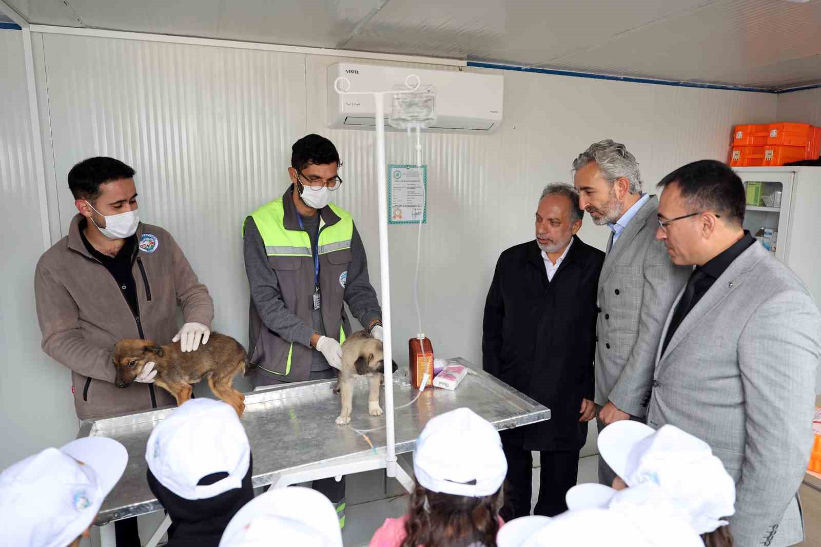 Hayvanları Koruma Günü, Talas Pati Evi Doğal Yaşam Alanı’nda kutlandı