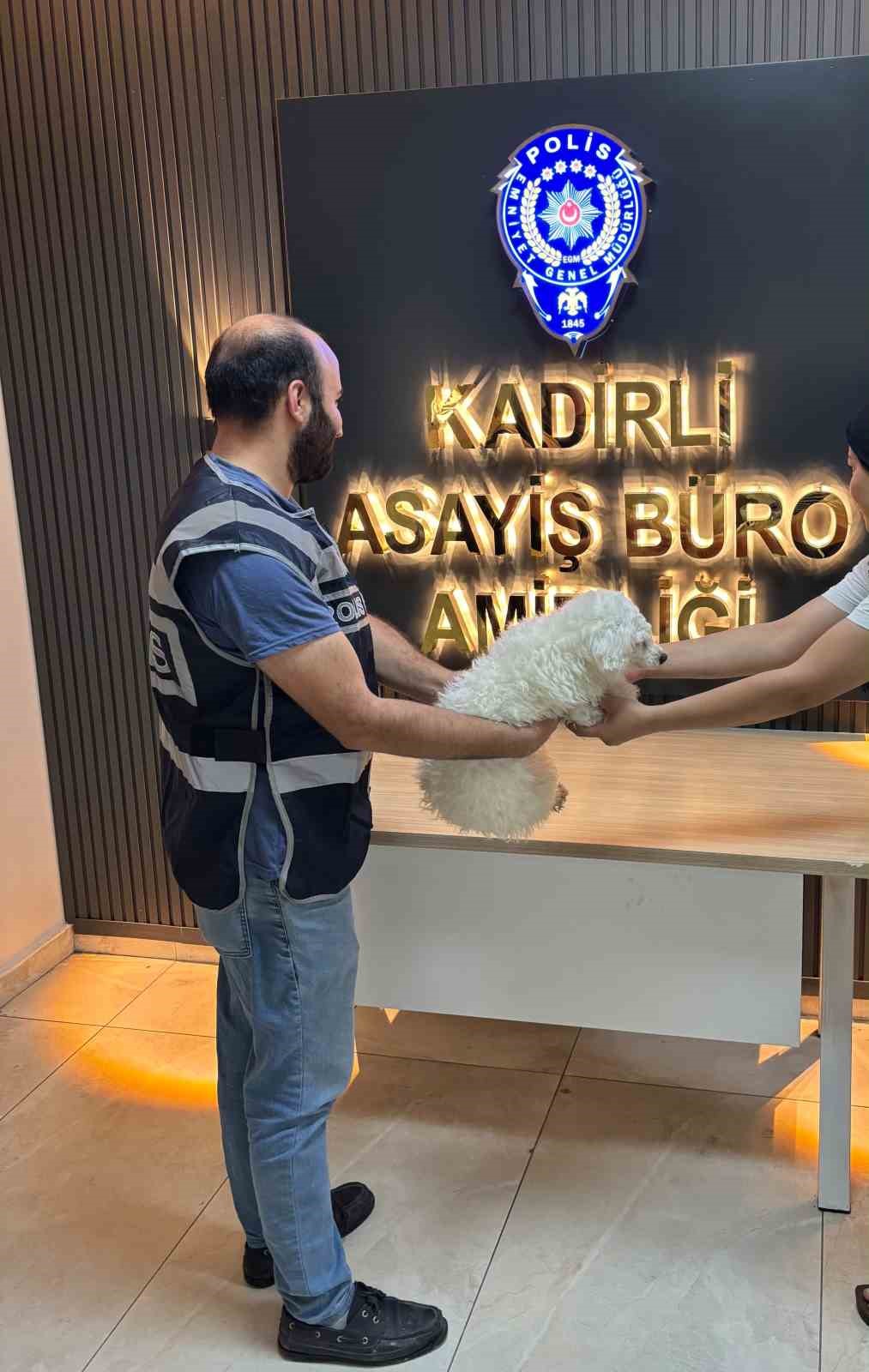 Motosikletle kovalayıp çaldıkları Pamuk’u polis buldu