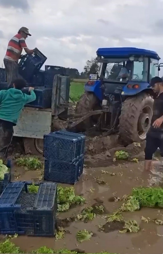 Göle dönen tarlalarda üreticiler mahsulleri kurtarmak için zamana karşı yarışıyor
