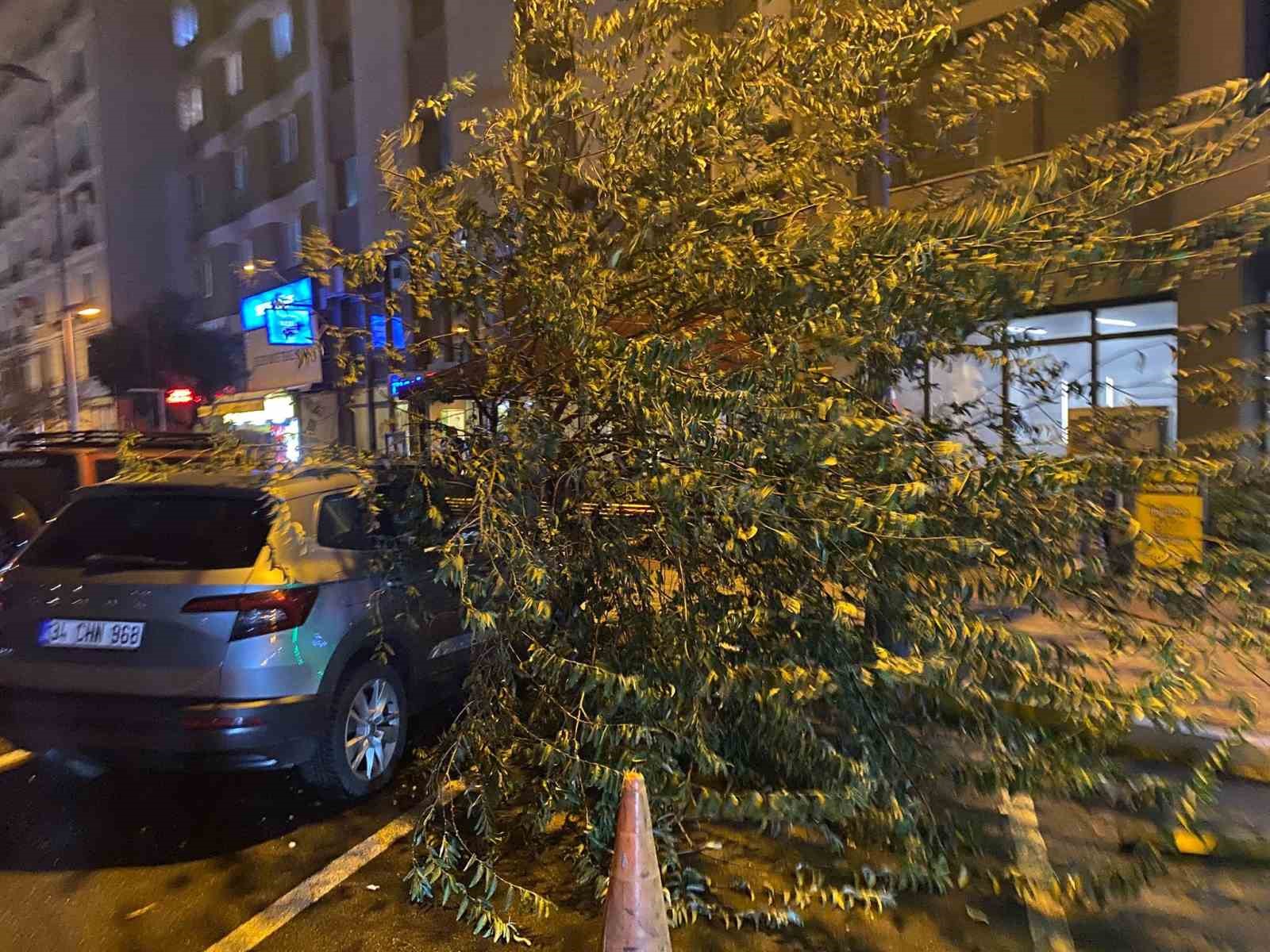 Bandırma’da fırtınada kökünden sökülen ağaç aracın üzerine devrildi