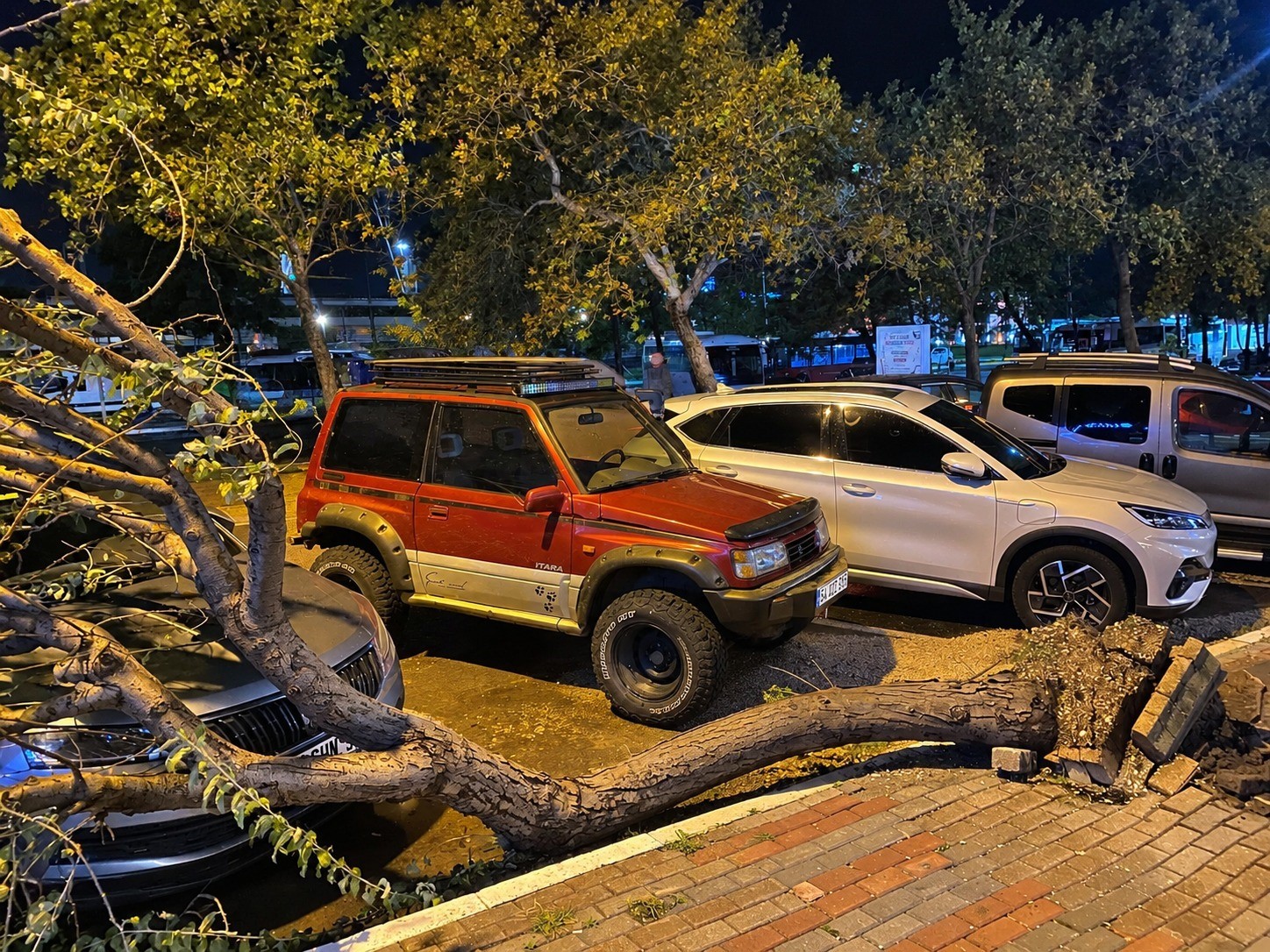 Bandırma’da fırtınada kökünden sökülen ağaç aracın üzerine devrildi