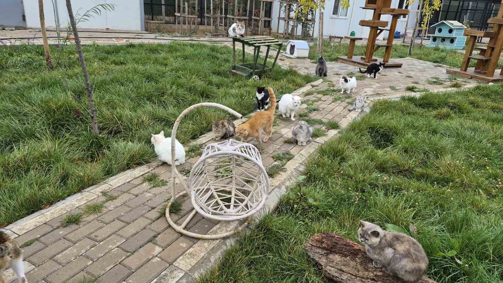 Yozgat Belediyesi Evcil Köy örnek oldu