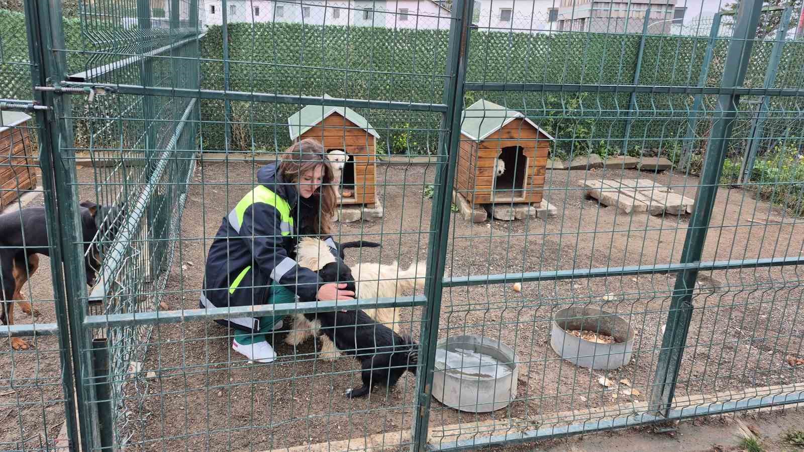 Yozgat Belediyesi Evcil Köy örnek oldu