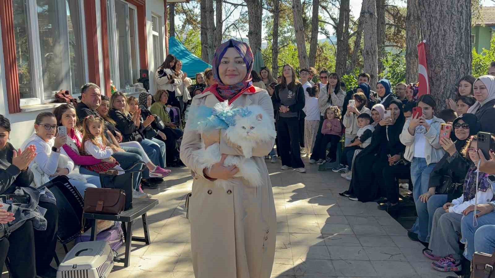 Kediler podyuma çıktı