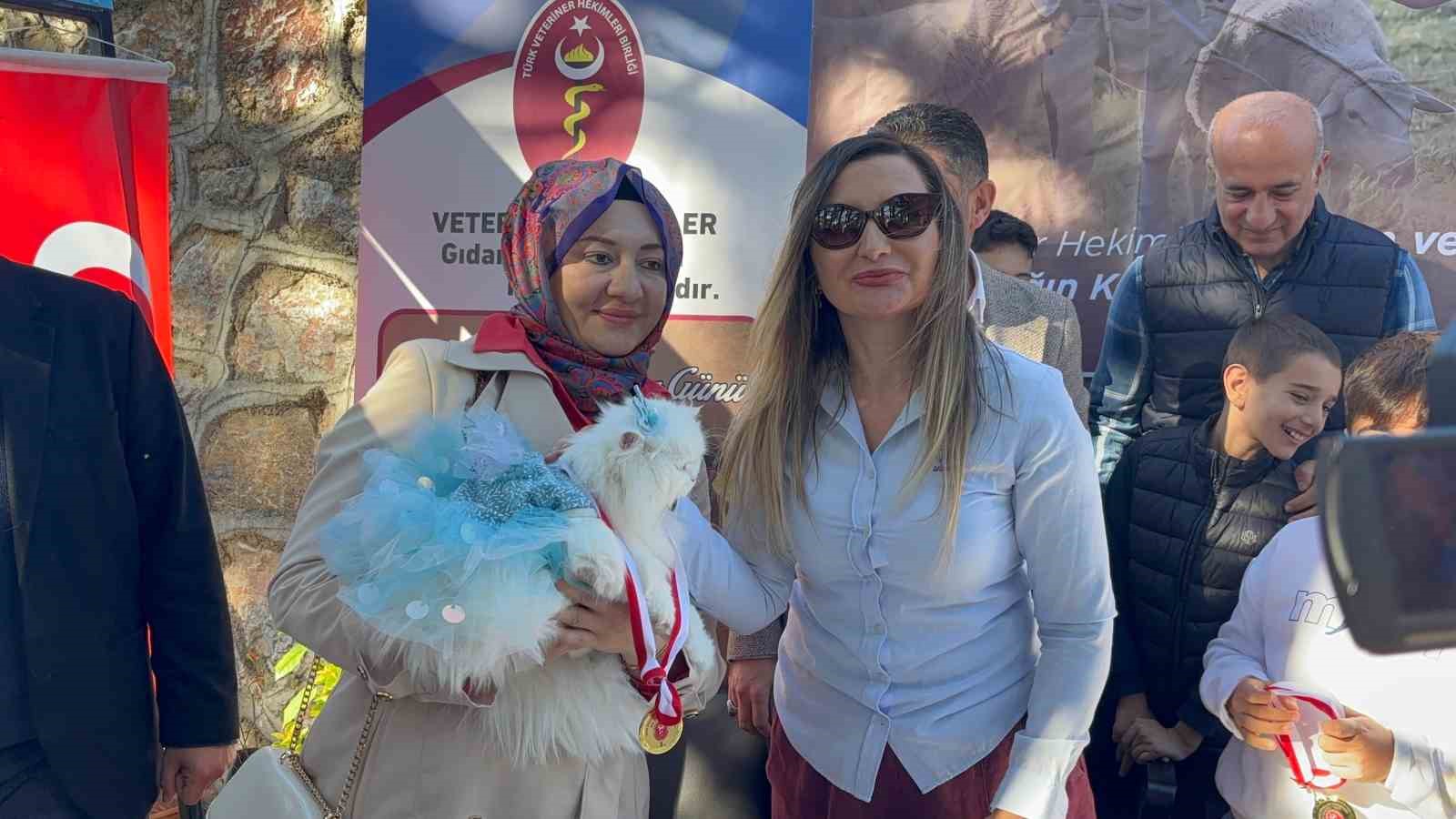 Kediler podyuma çıktı
